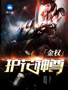 银龙国度 追梦之斑马