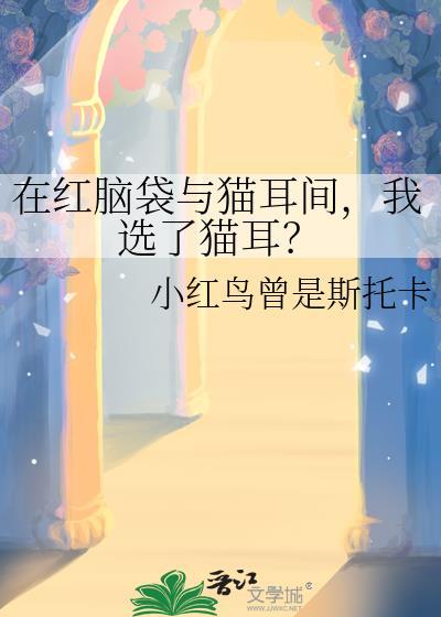 我选了猫耳?作者小红鸟曾是斯托卡