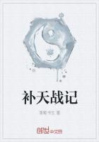 补天计划是什么