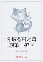 斗破苍穹之萧尊全集