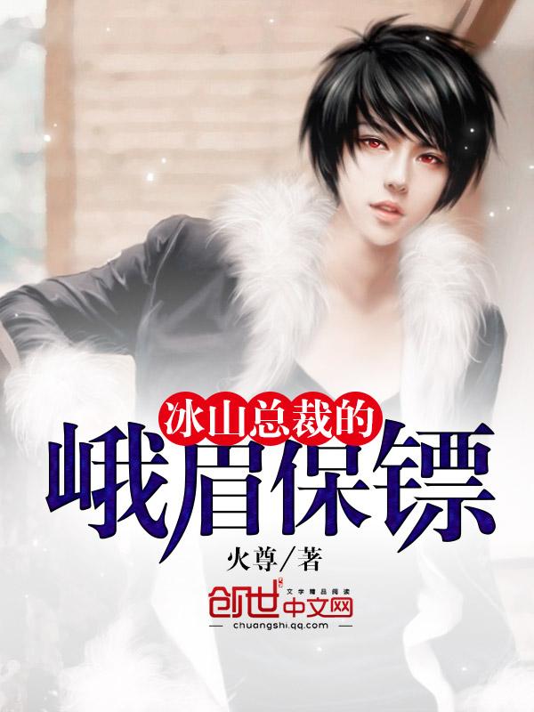 冰山总裁的小保安