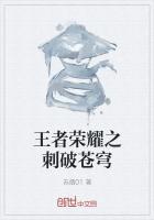 苍穹2.0王者荣耀