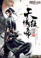 大天域暗帝加点