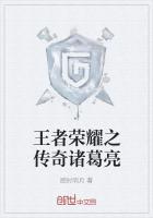 王者荣耀诸葛亮教学视频