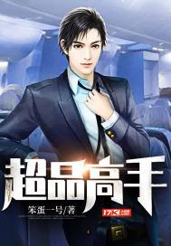 总裁的超品高手