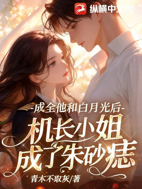 机长小姐成了朱砂痣