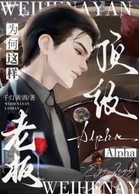 顶级ALPHA老板为何这样千灯黄酒