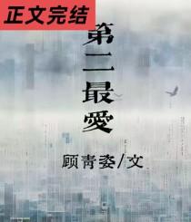 第二最爱顾青姿txt