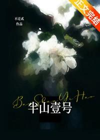 半山壹号属于什么街道