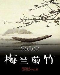 播放梅兰竹菊