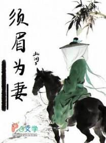 须眉为妻无弹窗笔趣阁