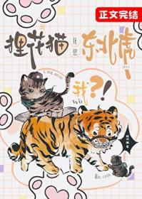 我狸花猫抚慰东北虎笔趣阁