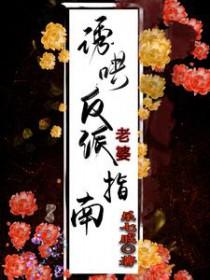 诱哄反派老婆指南作者乐七戚