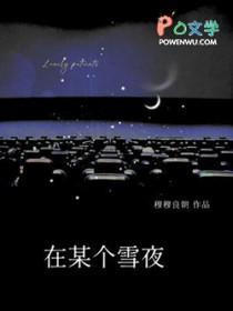 在某个雪夜 穆穆良朝