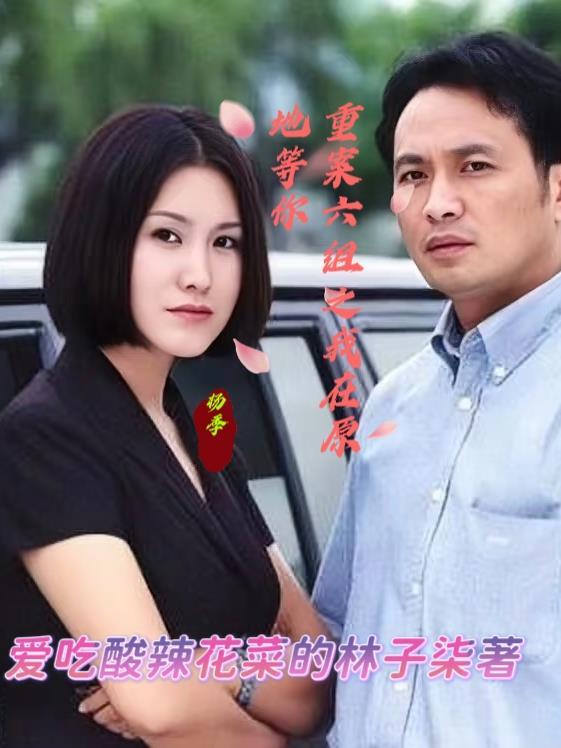我在重案六组当刑警