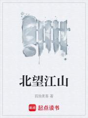 江山北望5
