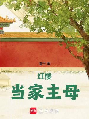 红楼当家主母阅读