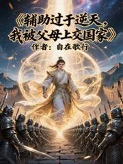 辅助过于逆天