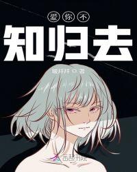 沉醉不知归去