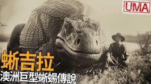 从蜥蜴进化为传说巨龙的游戏