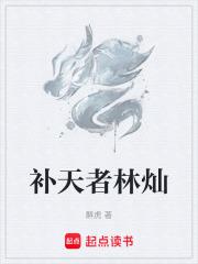 补天者林灿全文免费阅读