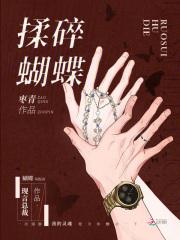 撞碎的蝴蝶