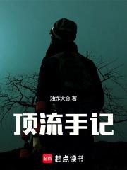 顶流手记全本免费