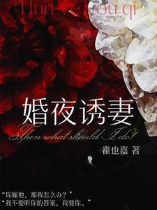 婚诱枕上新妻似火