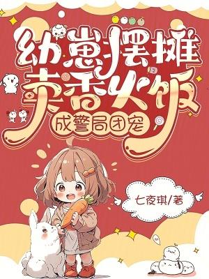 成警局团宠盘