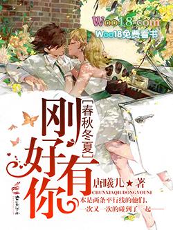 春秋冬夏刚好有你是什么歌