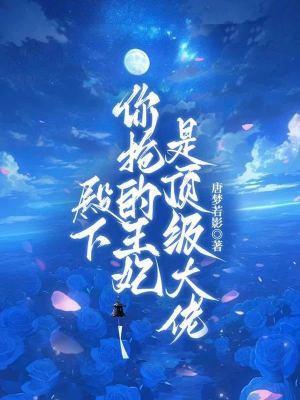 殿下王妃又带球跑