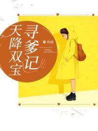 天降双宝寻爹记安小诺战擎渊