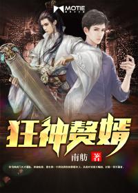 狂神赘婿岳风