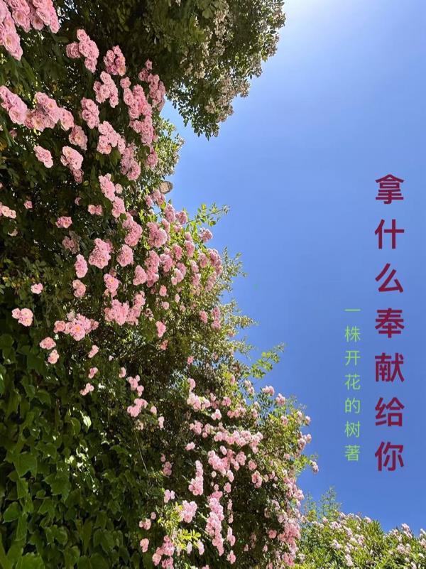 拿什么奉献给你我的小孩