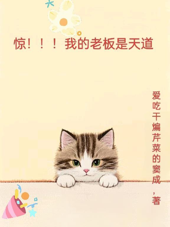 我的老板很天才