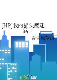 HP我的猫头鹰迷路了网页版晋江