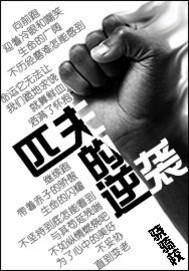 匹夫的逆袭完整版txt
