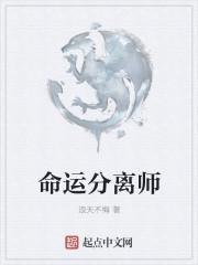 命运2分离面纱任务在哪里接