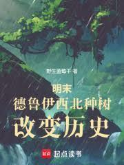 中国的德鲁伊