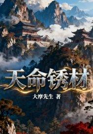天命配件