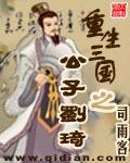 重生三国之公子刘琦完整版