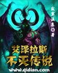 艾泽拉斯不灭传说主角的姐姐琳