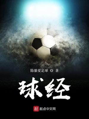 球经机