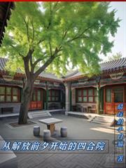 从解放前夕开始的四合院晴瑶的小白