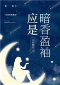 应是暗香盈袖笔趣阁无弹窗阅读