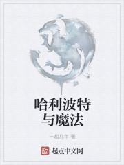 哈利波特与魔法石电影免费完整版国语版