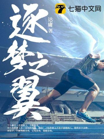 逐梦之翼的台词