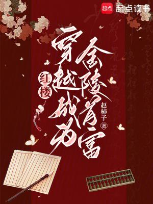 穿越红楼收