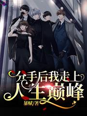 分手后我走上人生巅峰星辰粒粒云书