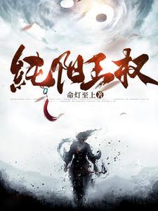 纯阳剑宗百度百科